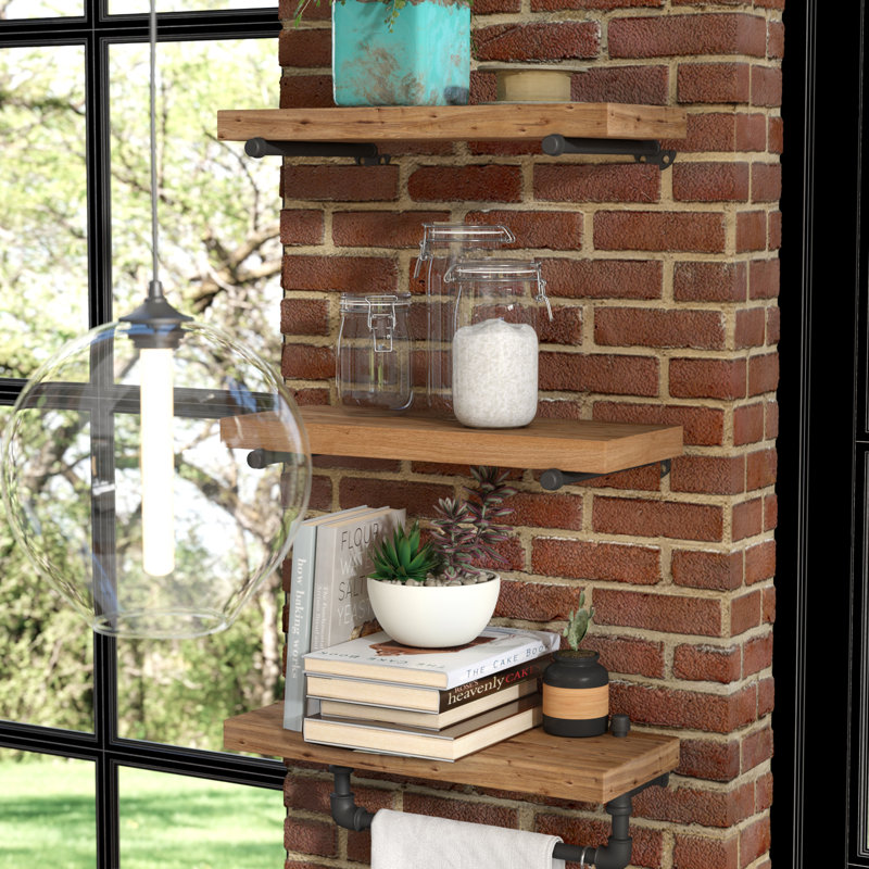 Trent Austin Design Borrero Industrial Pipe Accent Wall Shelf & Reviews